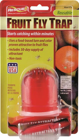 Trap Fruit Fly Single Pack