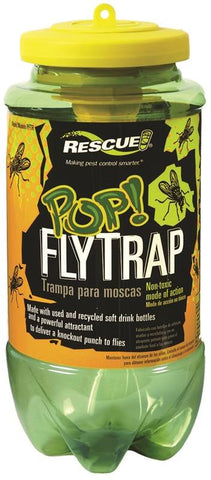 Fly Trap Resuseable