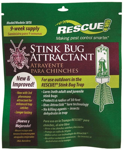 Attractant Stink Bug