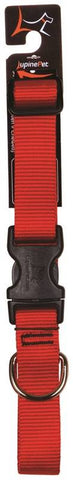 Collar Dog 1in 12-20in Red