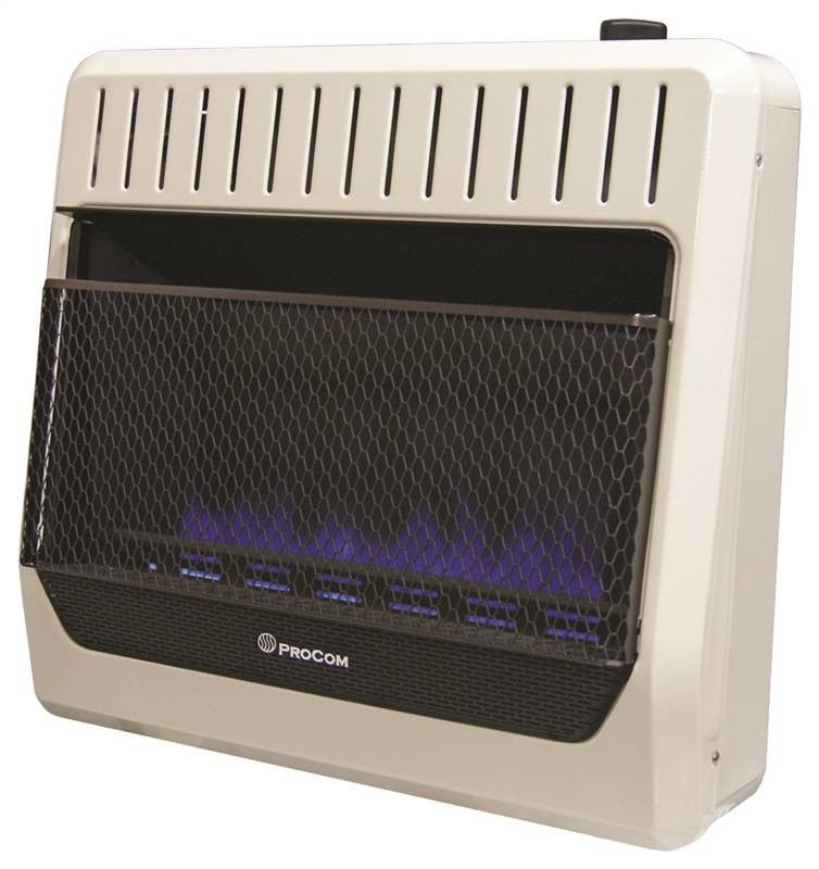 Heater Blue Flame Dual Fuel30k