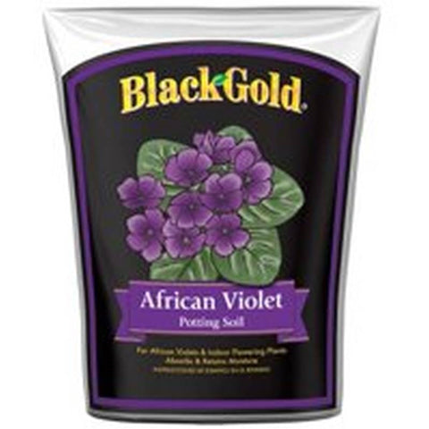 Blck Gld Afrcan Violet Mix 8qt
