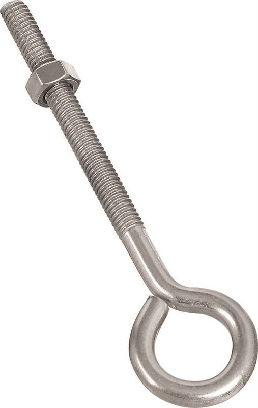 Eye Bolt W-nut 3-8x6in Ss