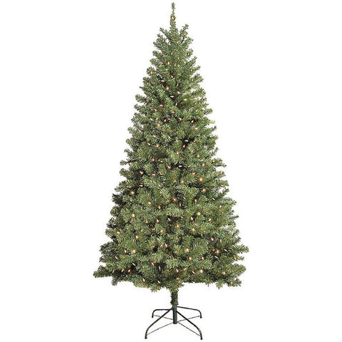 Tree Douglas 7ft Multi Cul